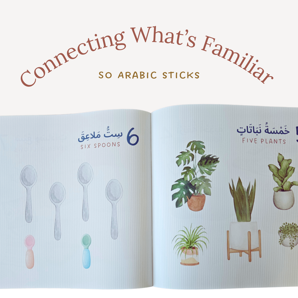 The Arabic Everyday Collection