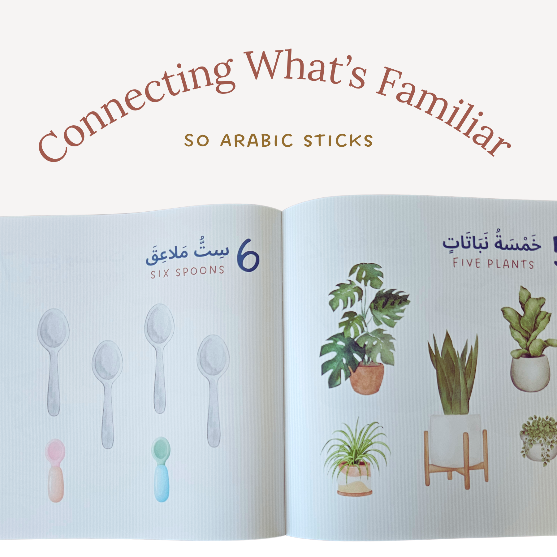 The Arabic Everyday Collection