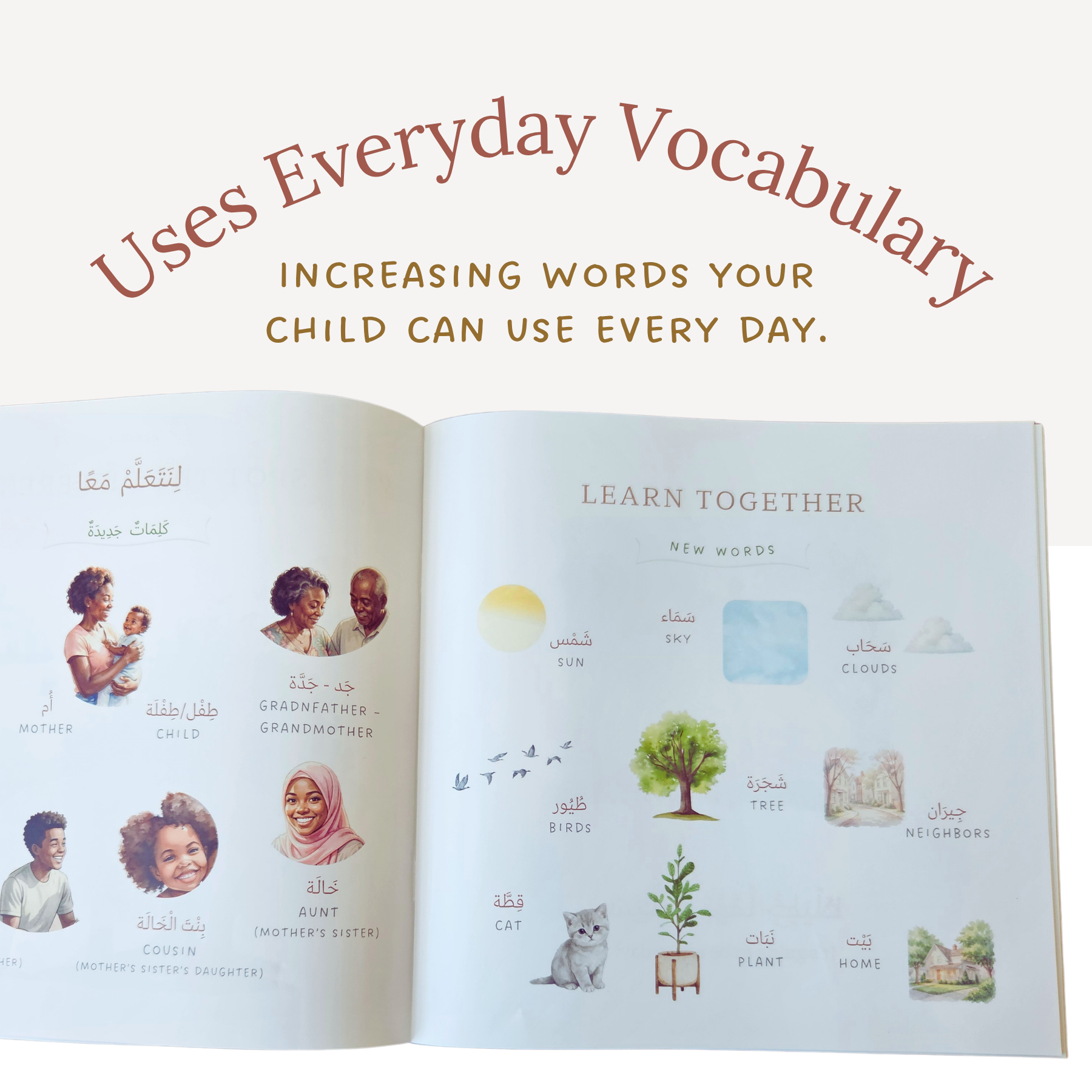 The Arabic Everyday Collection