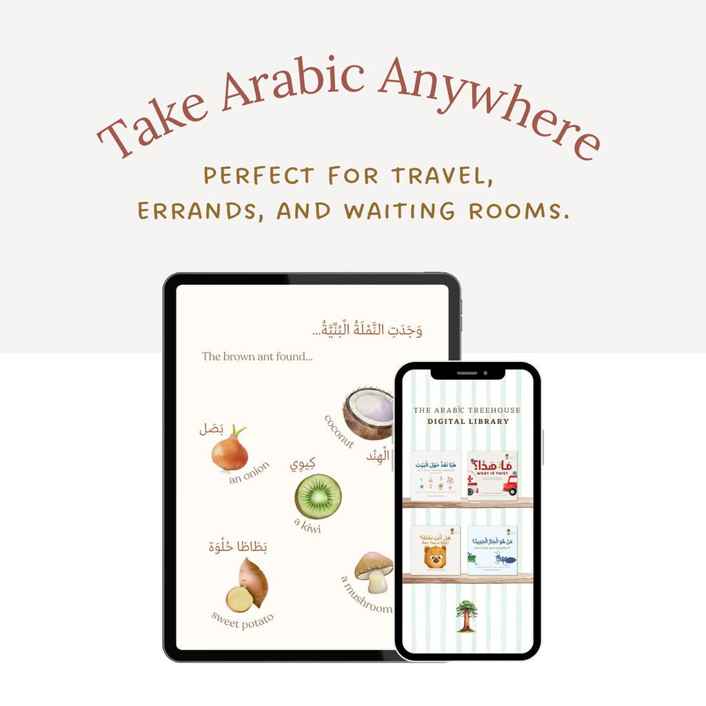 The Arabic Everyday Collection