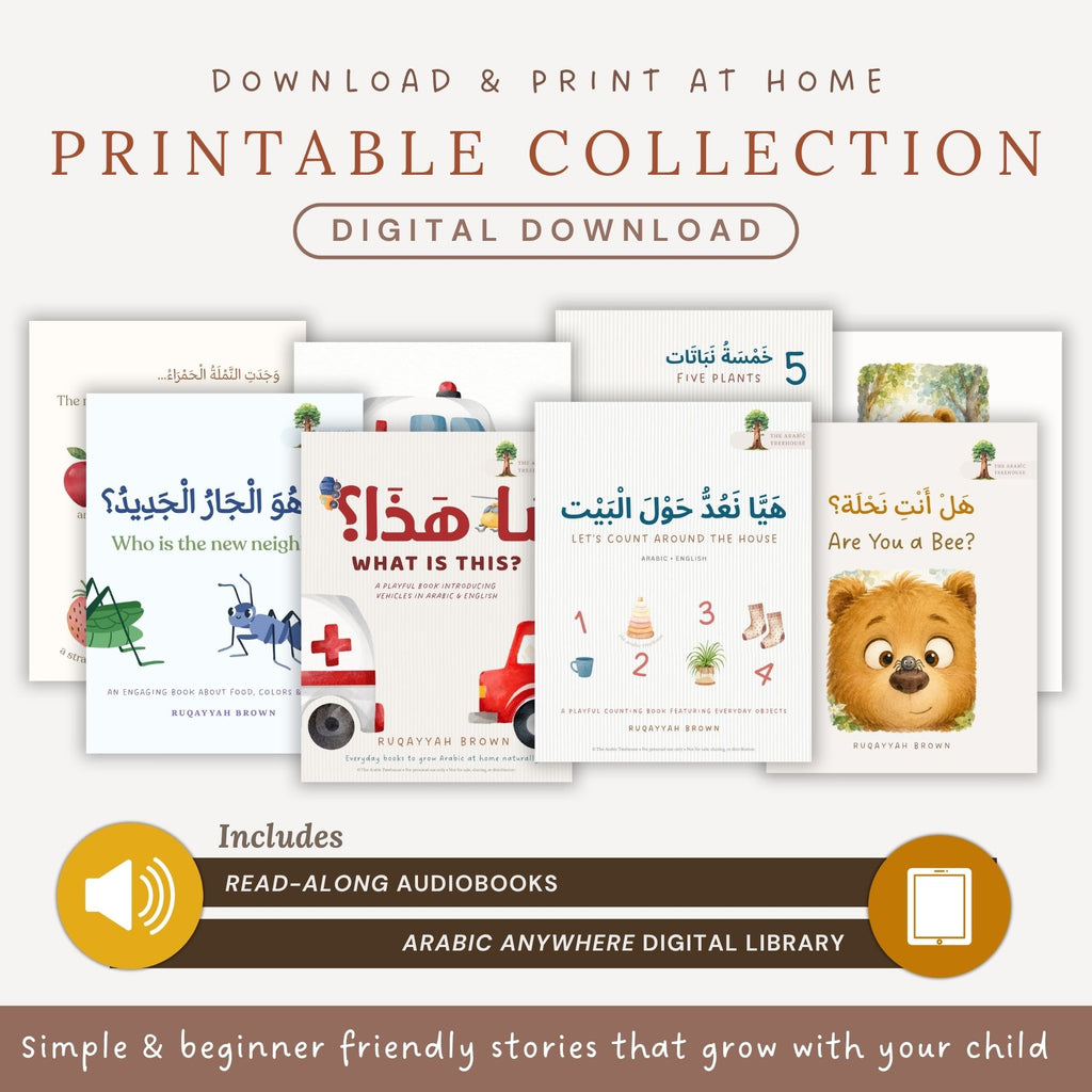 The Arabic Everyday Collection